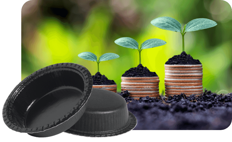 Plants growing to represent sustainability