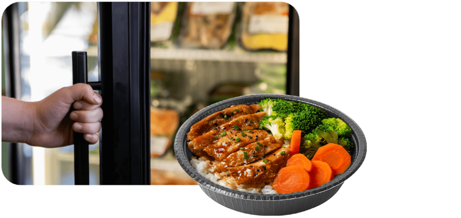 Papertrays Freezer Case