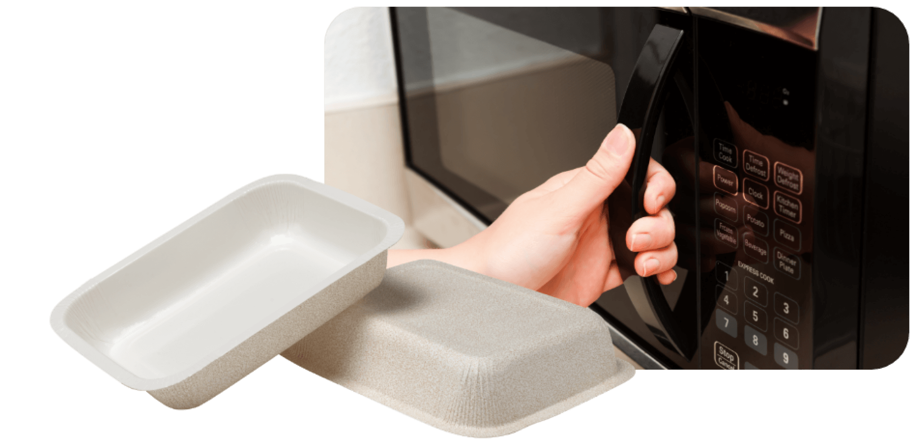 Papertrays Microwave