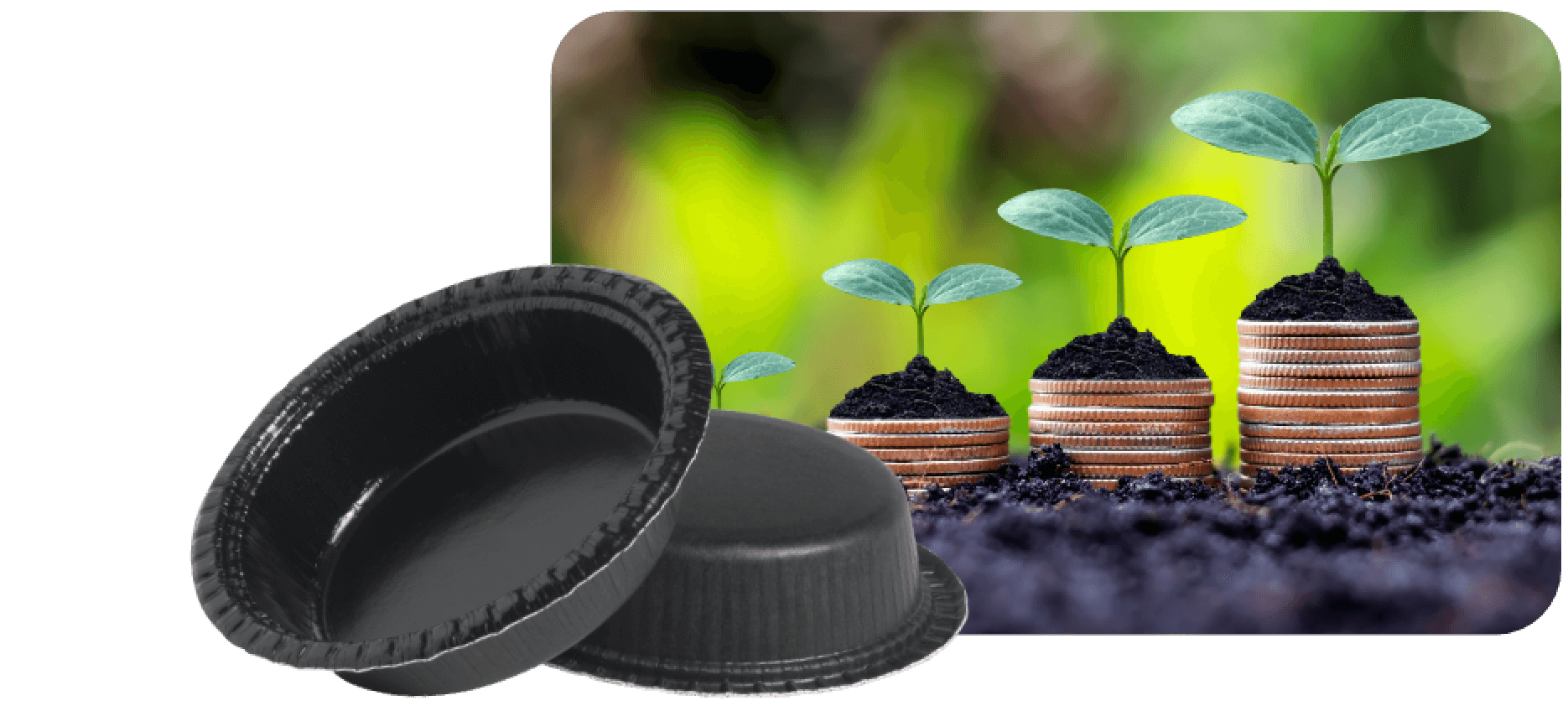 Papertrays Growth