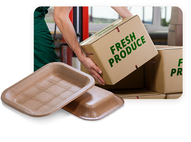 Papertrays Warehouse